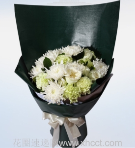 哀悼-白菊花12支，康乃馨，绿叶适量。白色、黑色手揉纸配合，圆形包装。