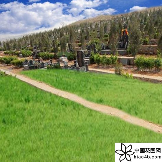 山东枣庄龙泉公墓
